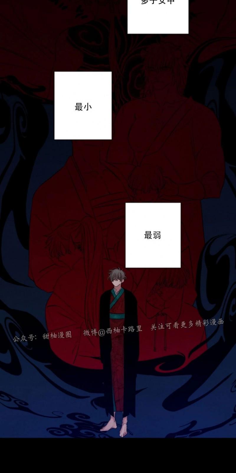 珊瑚的不同姿态漫画,外传92图