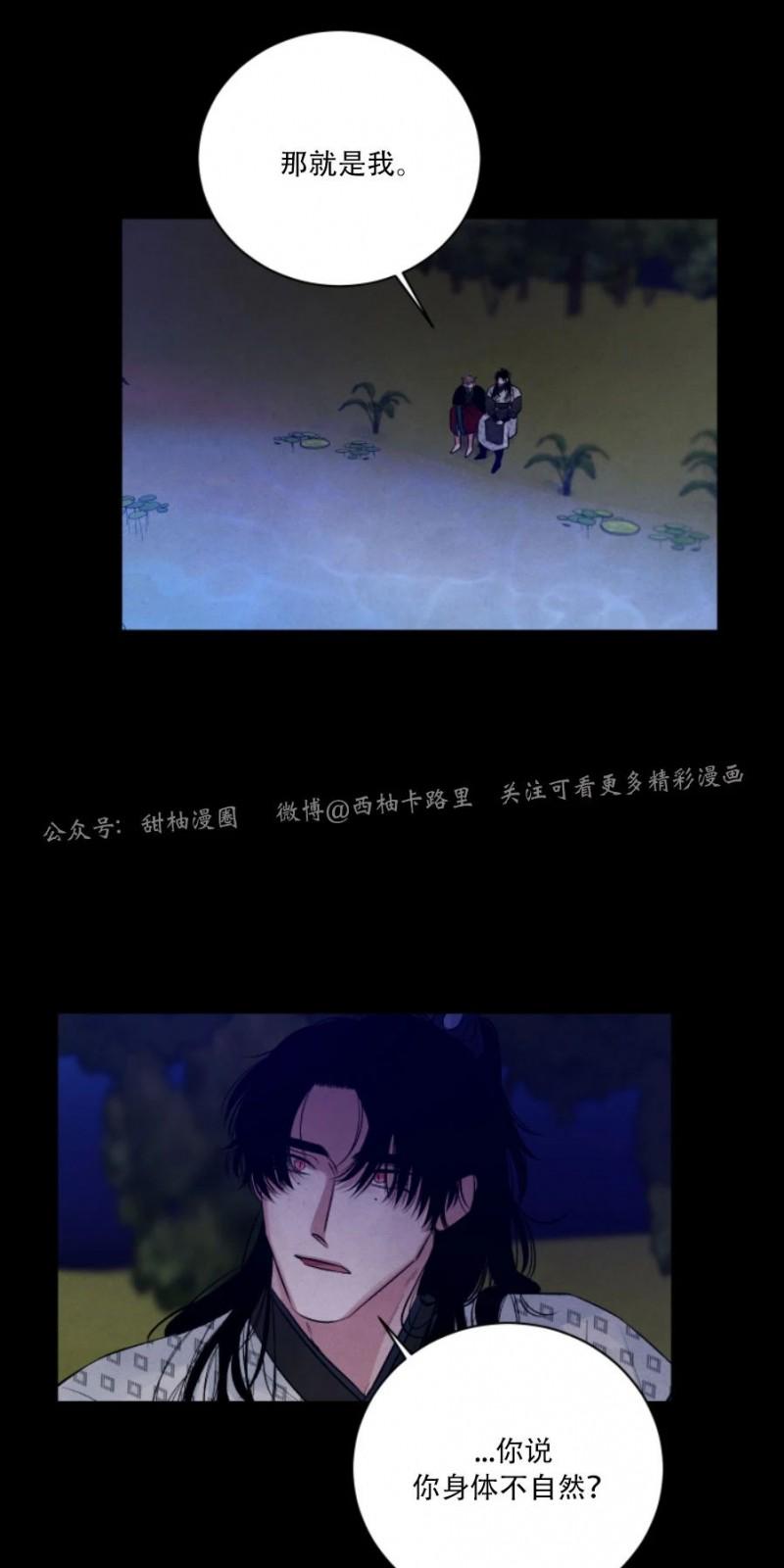 珊瑚的不同姿态漫画,外传94图