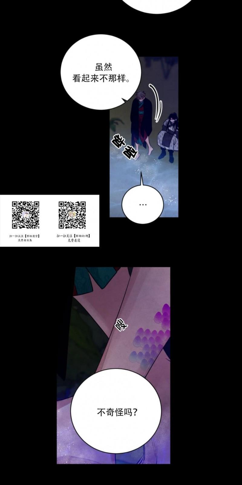 珊瑚的不同姿态漫画,外传95图