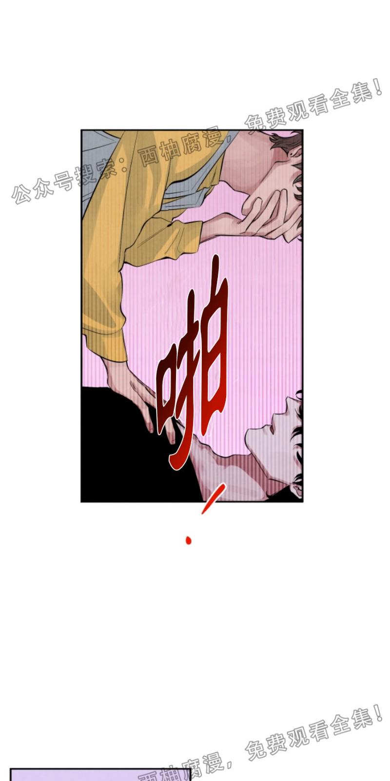 珊瑚收缩起来了漫画,第9话4图