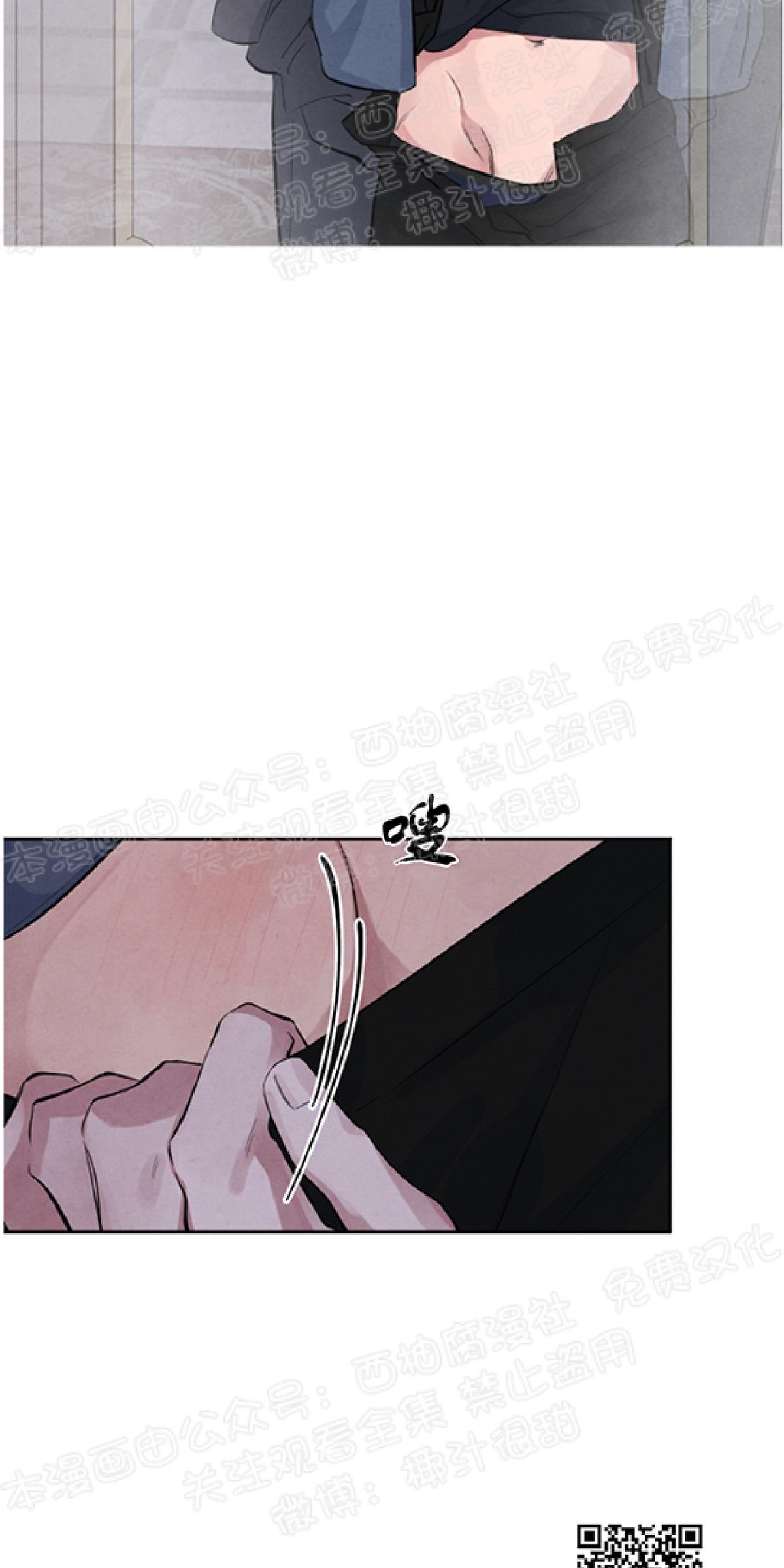 珊瑚生长纹路漫画,第22话3图