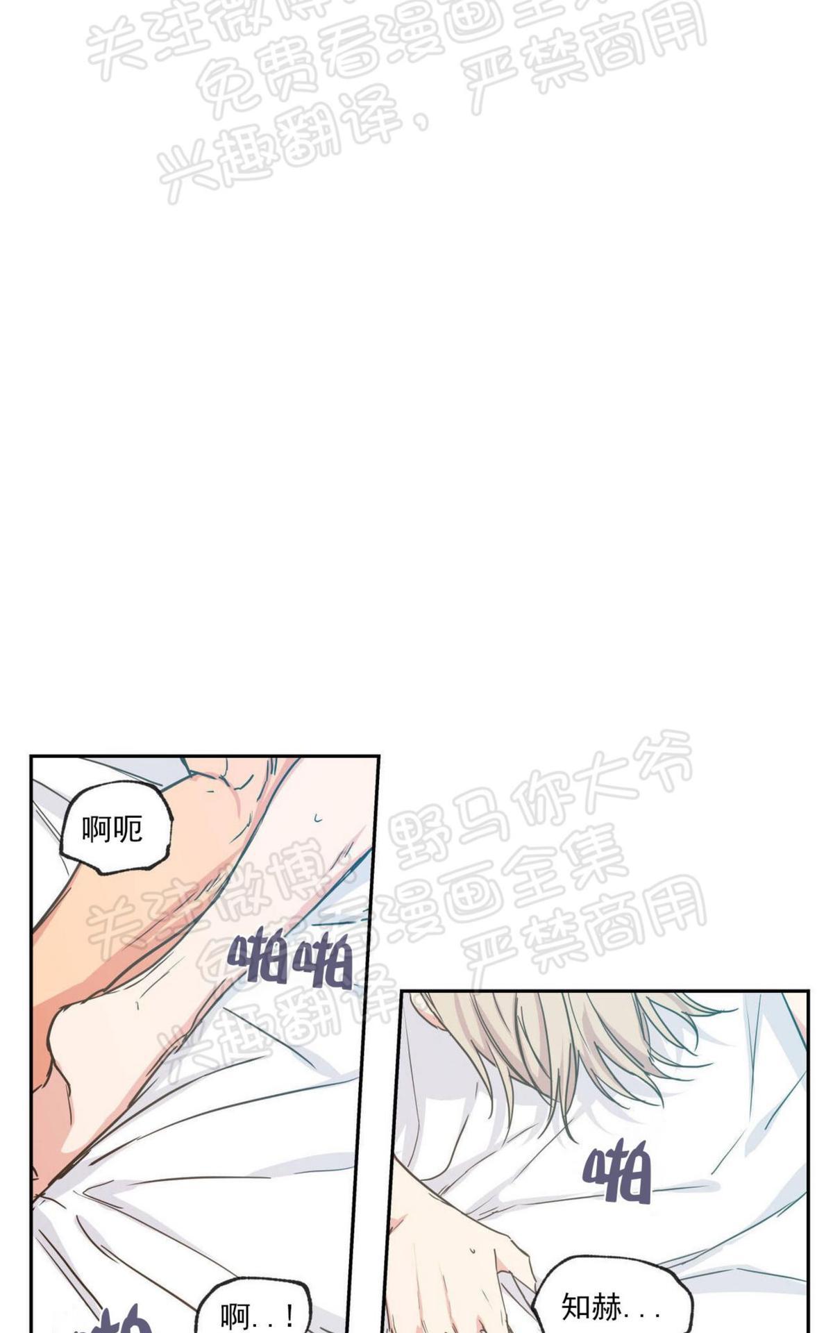 恋爱禁区双男主动漫免费完整在线看漫画,第36话5图