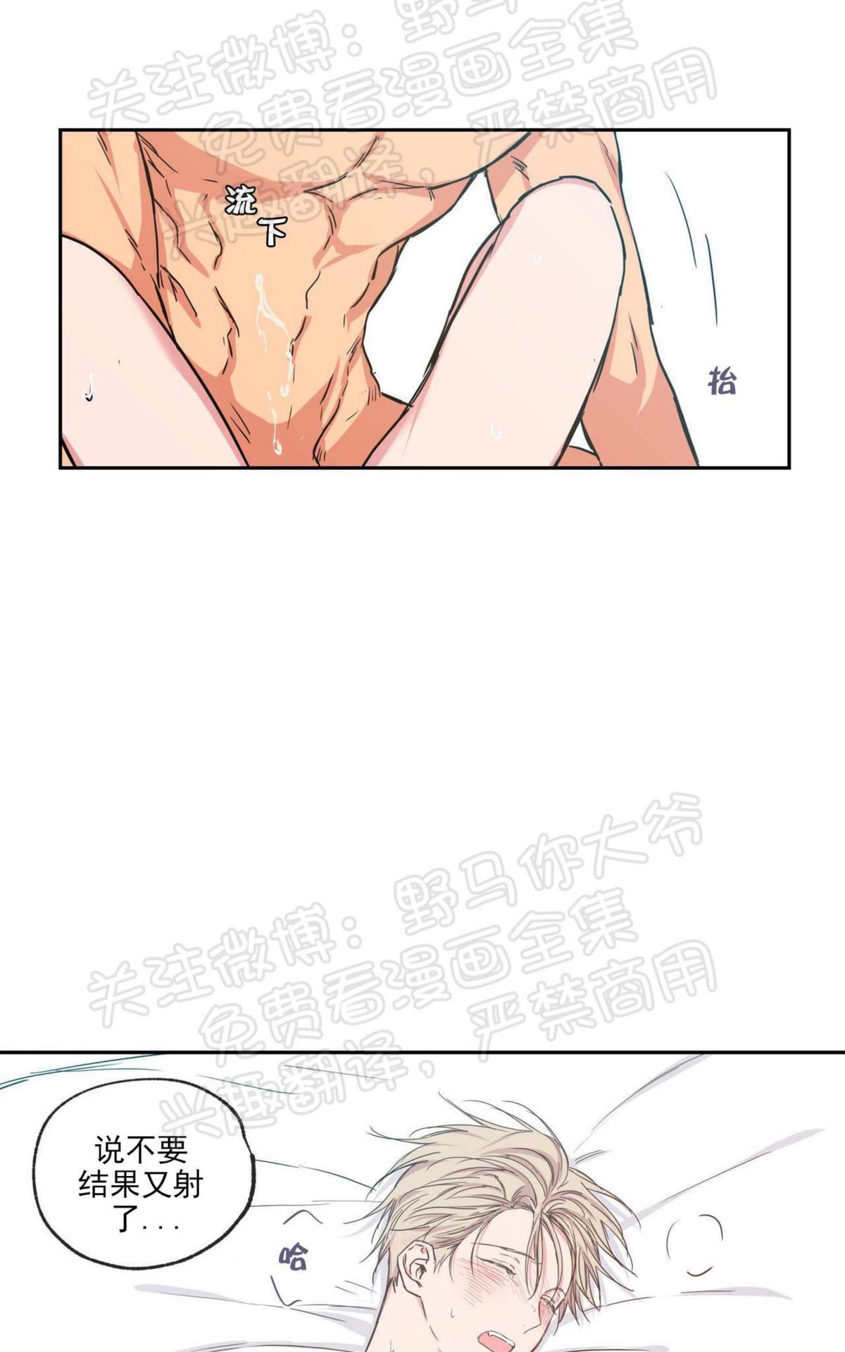 恋爱禁区双男主动漫免费完整在线看漫画,第36话1图
