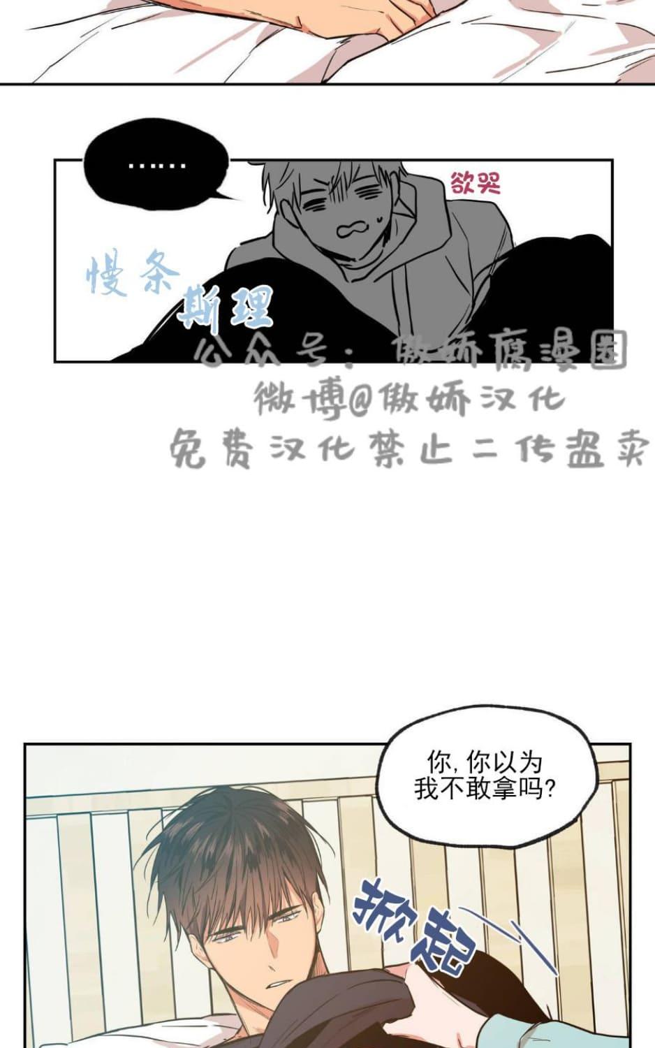 恋爱禁区韩漫动漫未删减在线看豚豚剧漫画,第33话5图