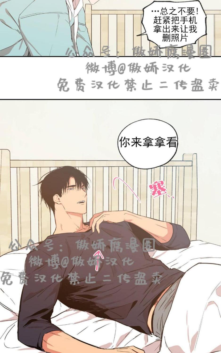 恋爱禁区韩漫动漫未删减在线看豚豚剧漫画,第33话4图