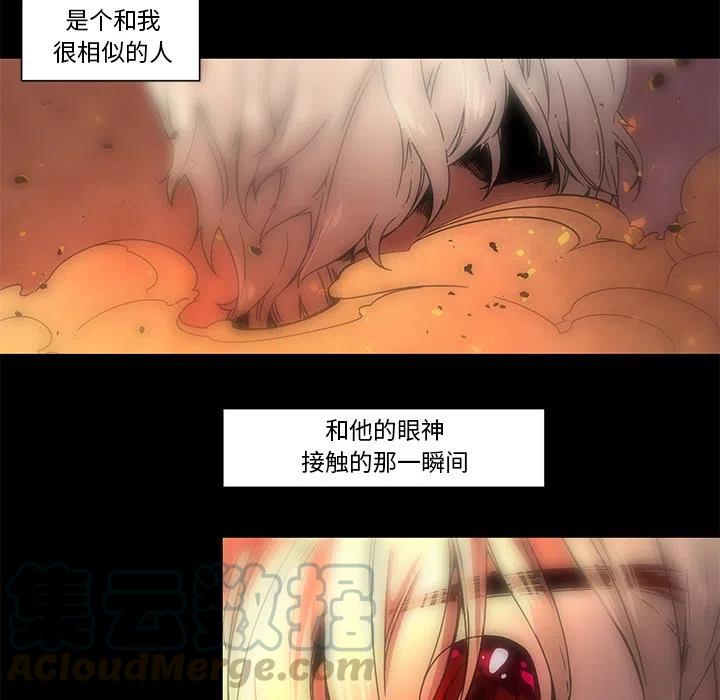 猎犬追击动物漫画,645图