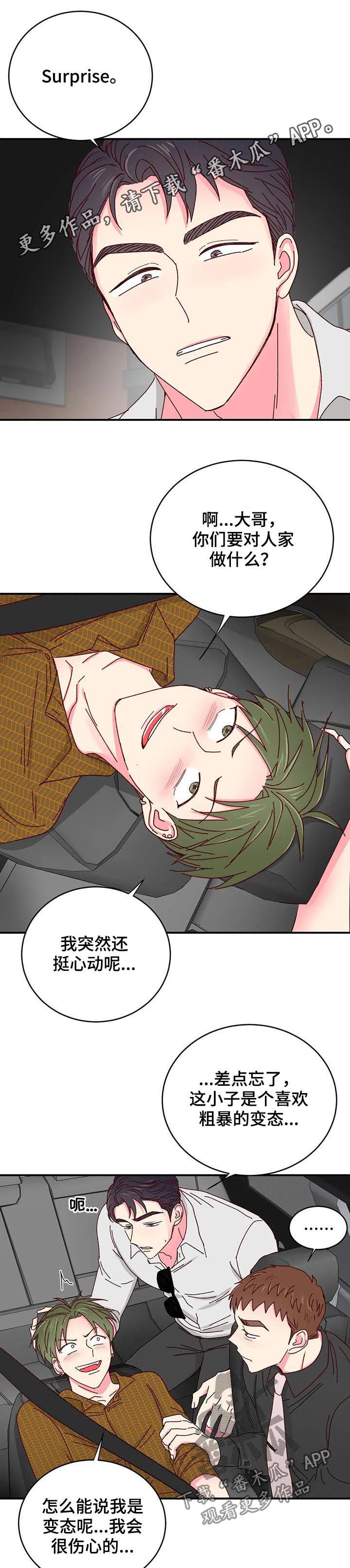 奶油蛋糕需要多少度保存最好漫画,第28章：一定有猫腻1图