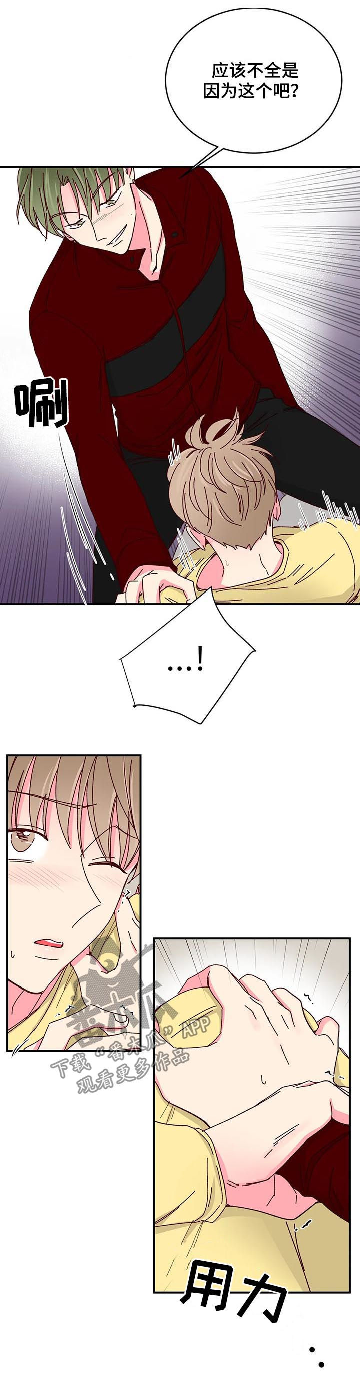 奶油蛋糕冬天常温下能放多久漫画,第49章：协议3图