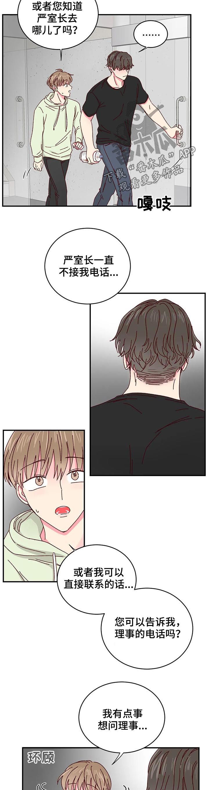 奶油蛋糕教程漫画,第29章：喂猫5图