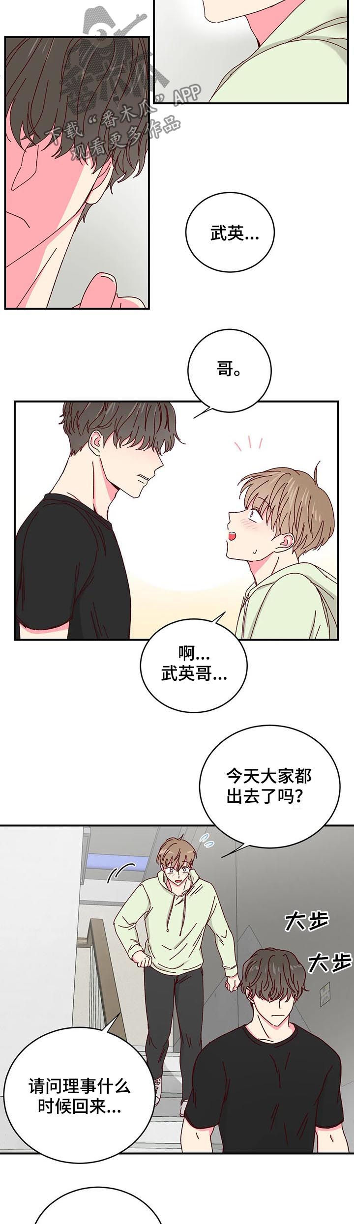 奶油蛋糕教程漫画,第29章：喂猫4图
