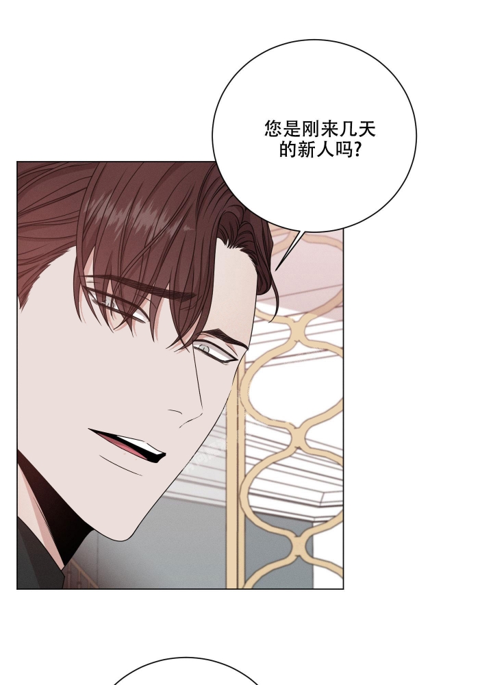 危险关系小说漫画,第12话5图