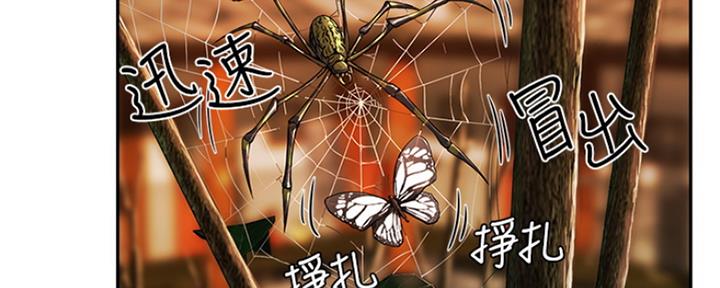 夏日深深裴恒小说漫画,第10话5图