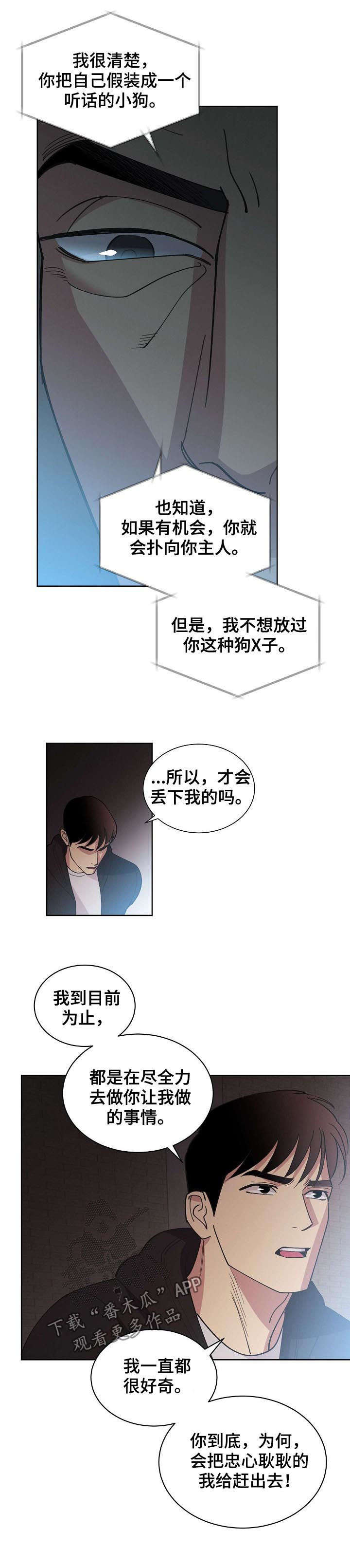 保定疫情最新通报漫画,第45章：【第二季】自由2图
