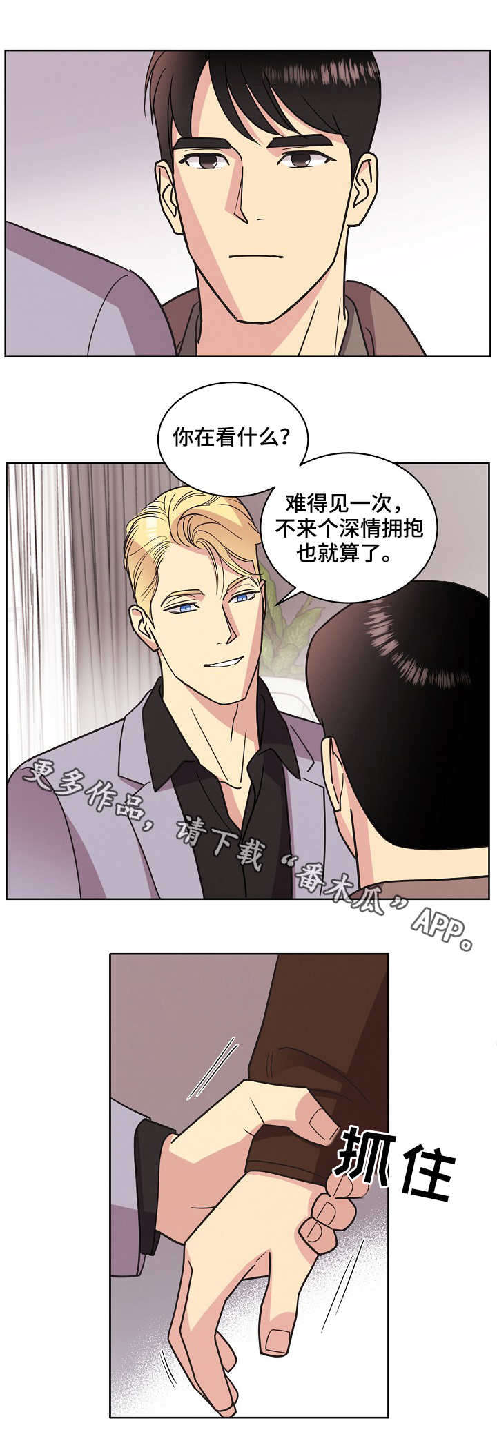 商标国际保护条约漫画,第31章：关系1图