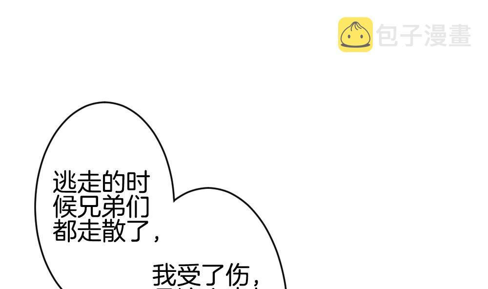 拂晓的花嫁王新雨丈夫是谁漫画,第231话 戒指 84图