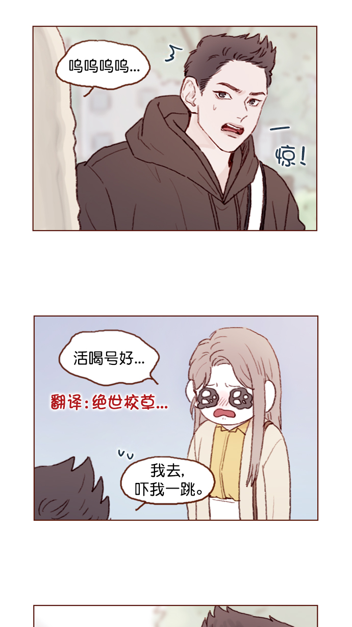 喜欢我的小柿子结局漫画,[第75话] 忘记一个人最好的方法就是找一个人代替5图