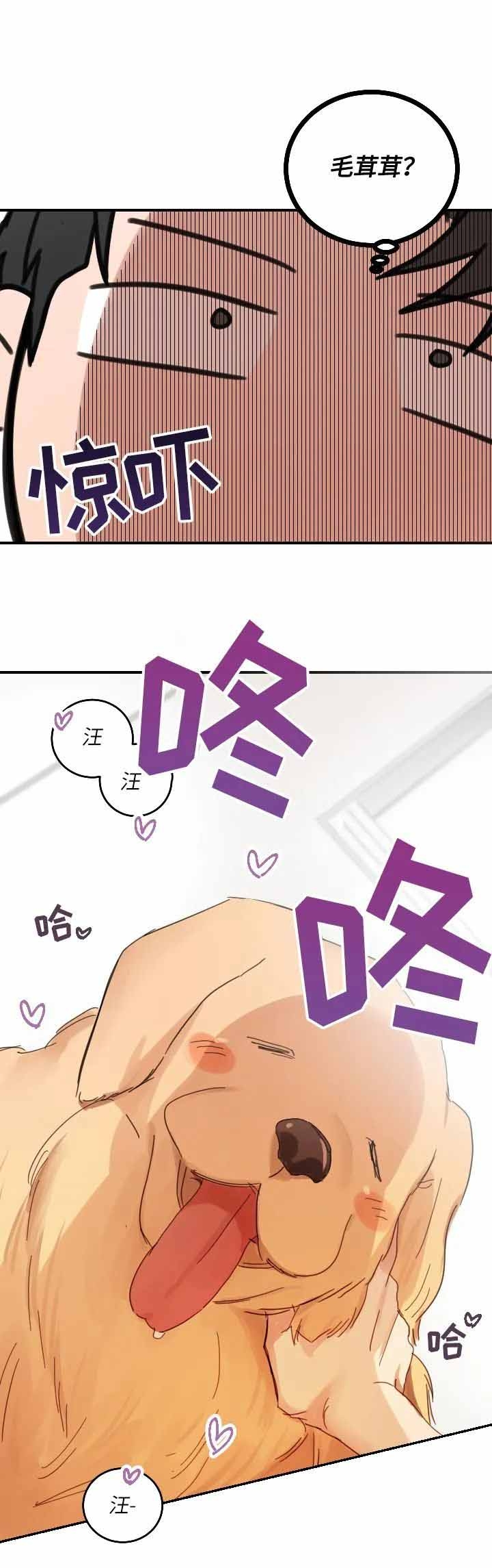 不浪漫的罪名王杰免费mp3在线听免费版漫画,第104话3图