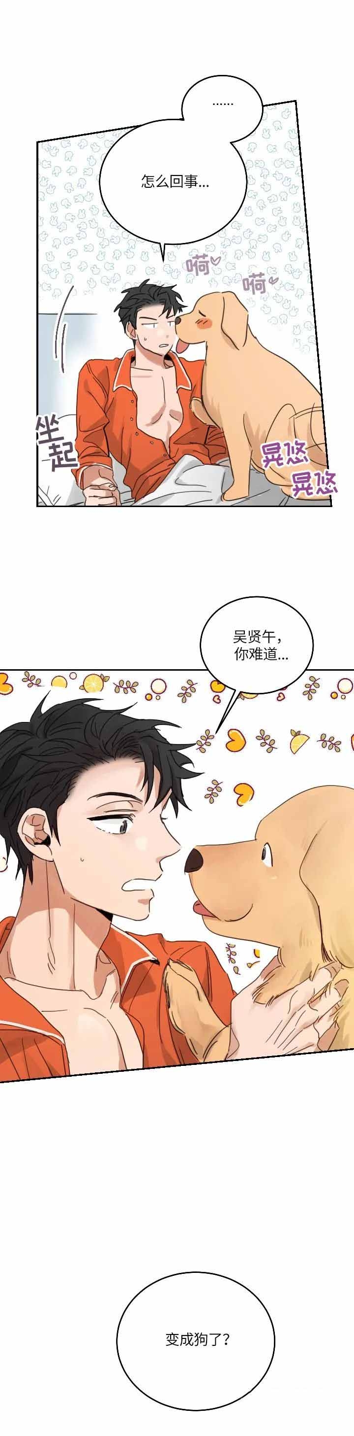 不浪漫的罪名王杰免费mp3在线听免费版漫画,第104话4图