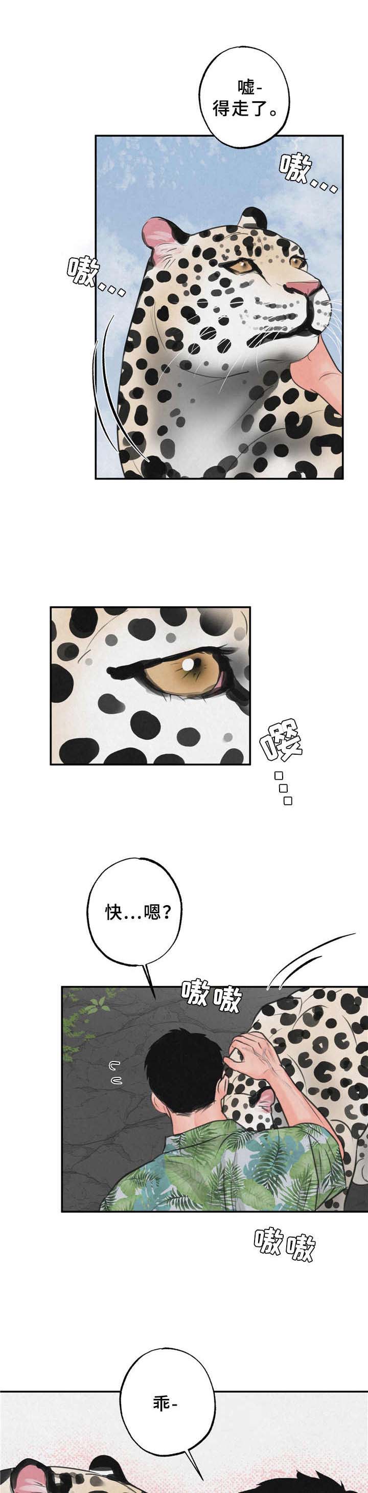 野性之夜在线观看漫画,第10章：喜欢上了1图