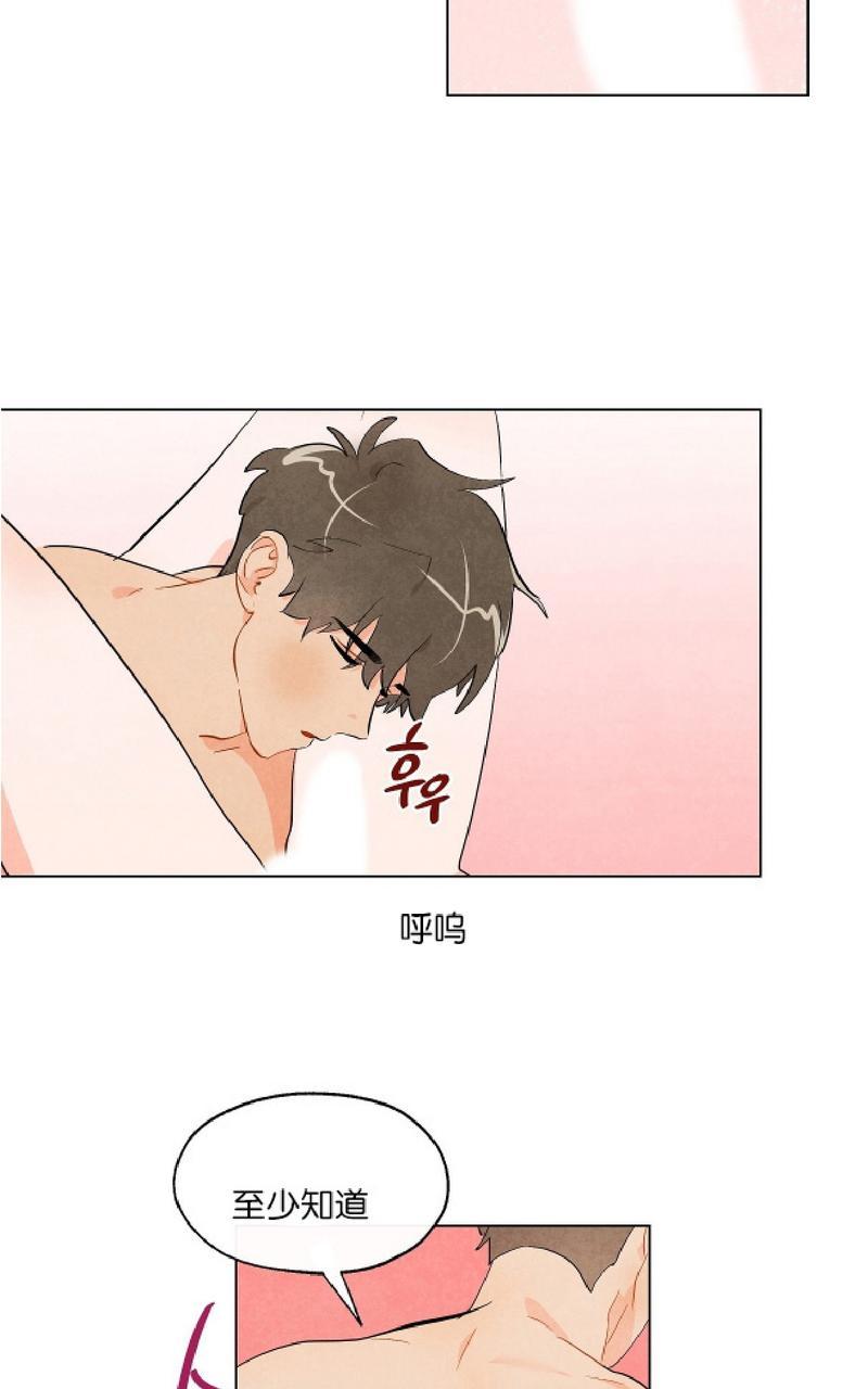 觅食的动物有哪些漫画,第8话5图