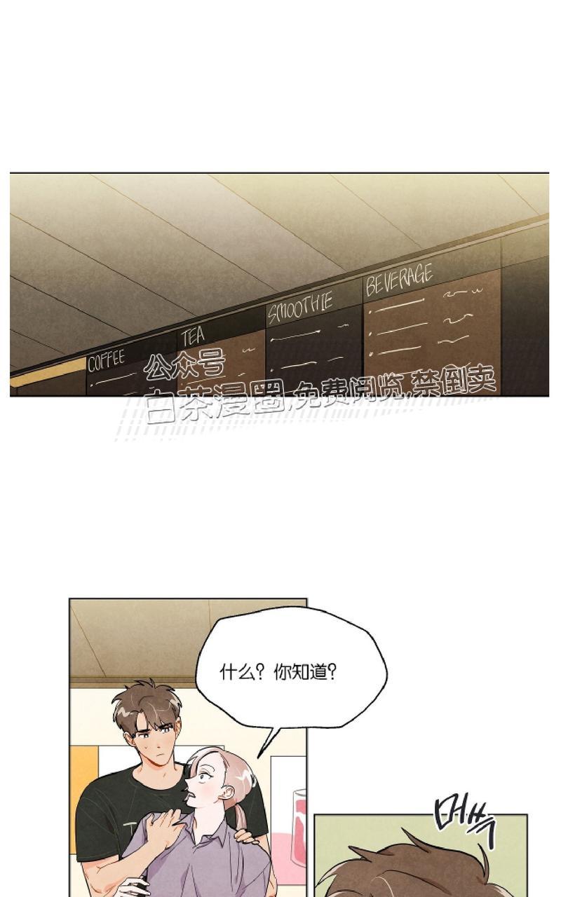 狐狸觅食的动作漫画,第13话4图