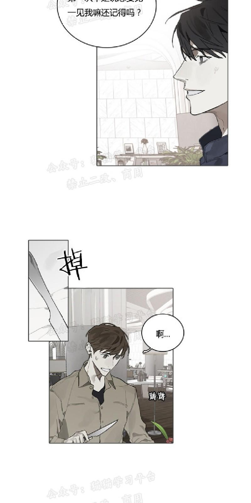 accord是什么车漫画,第16话5图