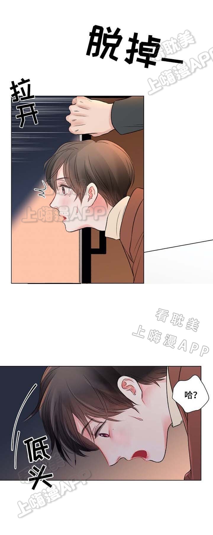 我的房友漫画免费阅读在线观看漫画,第41话4图