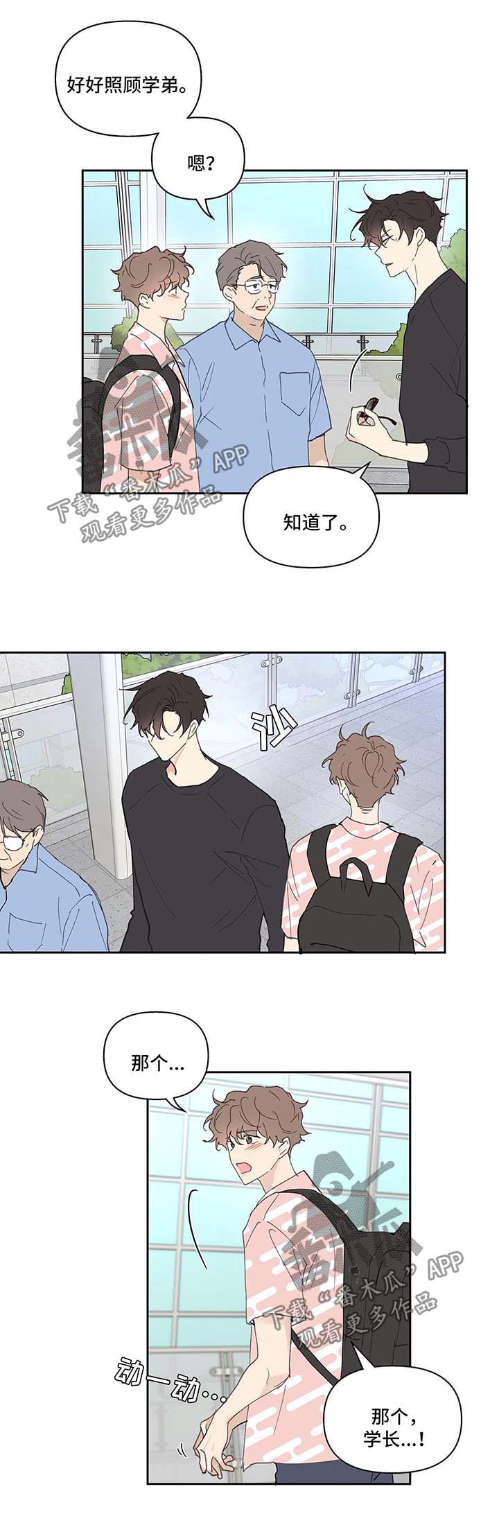 大学学代会代表怎么选的漫画,第41章：国外旅行1图