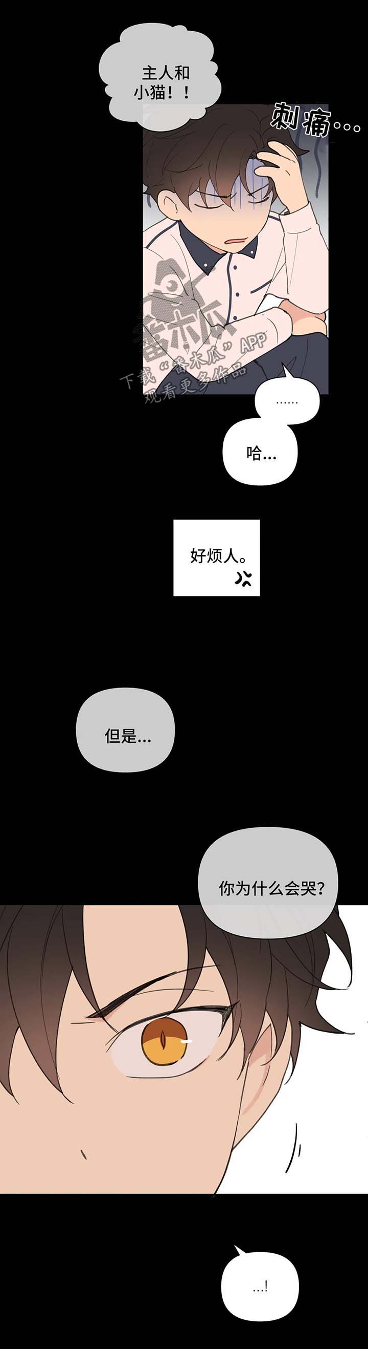 学院代码052漫画,第67章：喜欢漂亮的3图