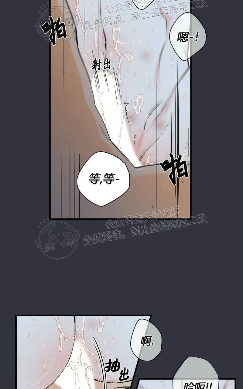 梦似长空怎么解释漫画,第57话4图