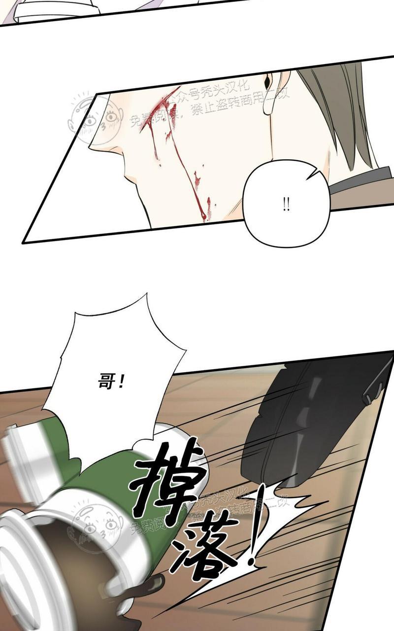 梦似蝶舞漫画,第44话5图
