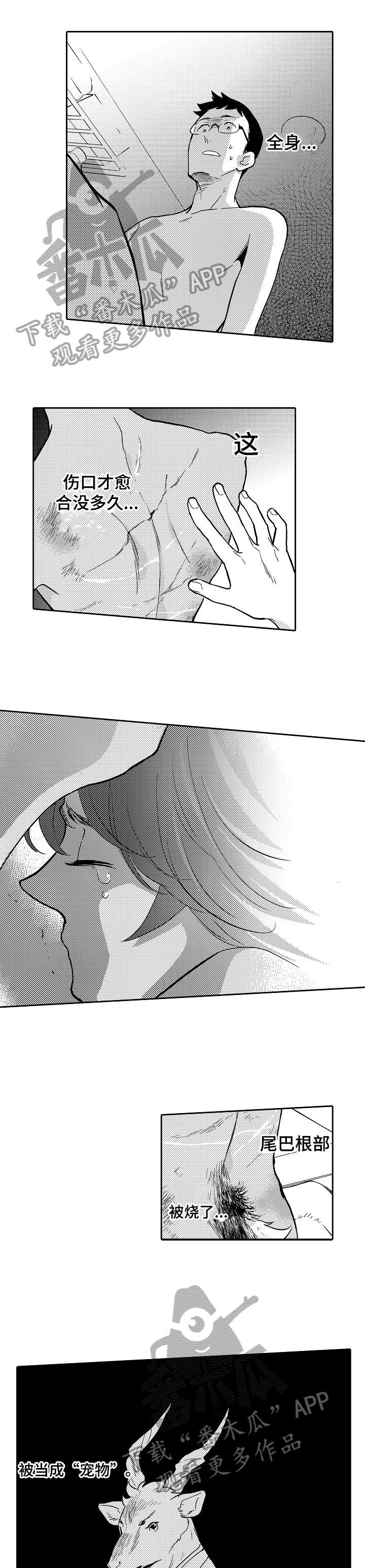 他带领人们战胜了饥饿英文漫画,第3章：心疼1图