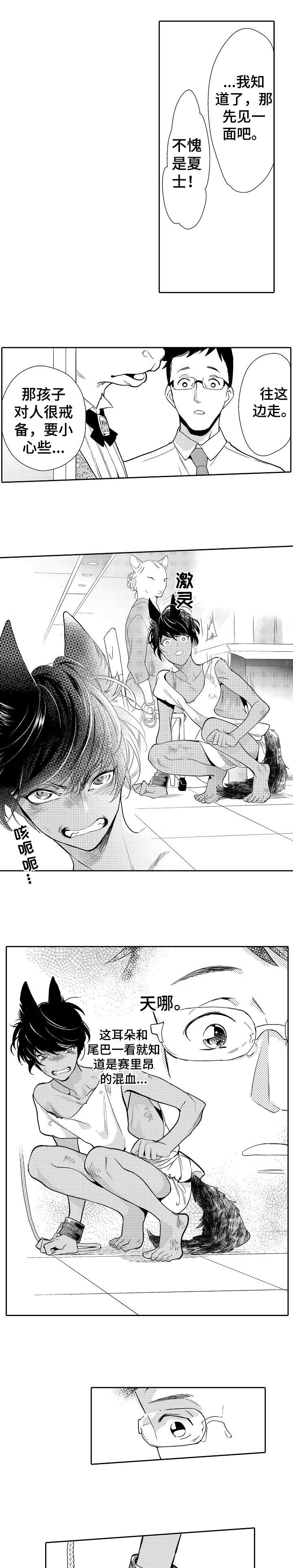 他带来了光小说简介漫画,第1章：孩子3图