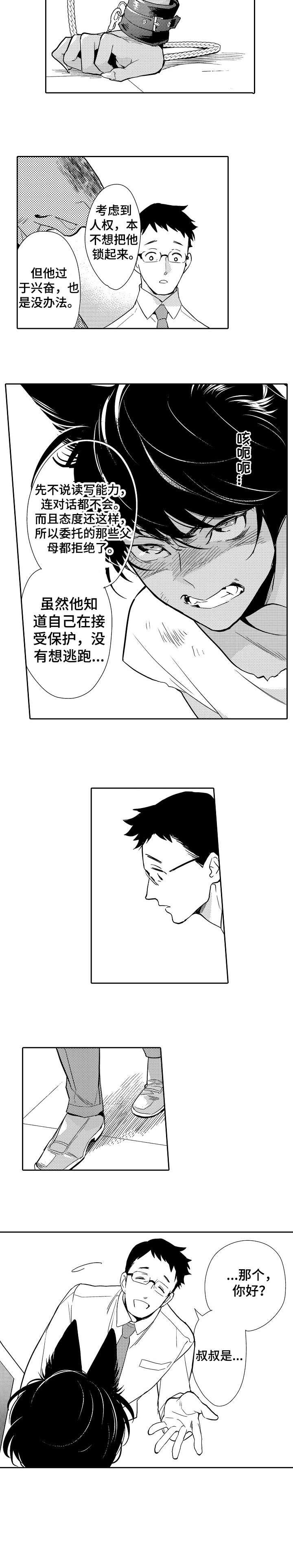 他带来了光小说简介漫画,第1章：孩子4图