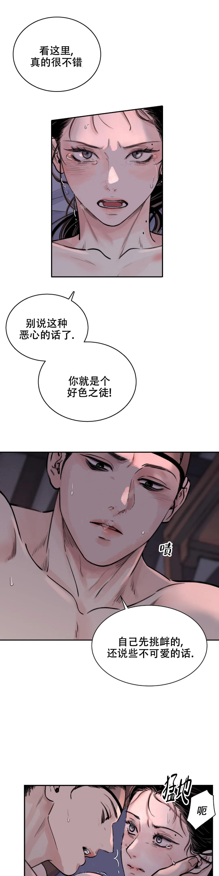 剑与花剧情介绍漫画,第12话1图