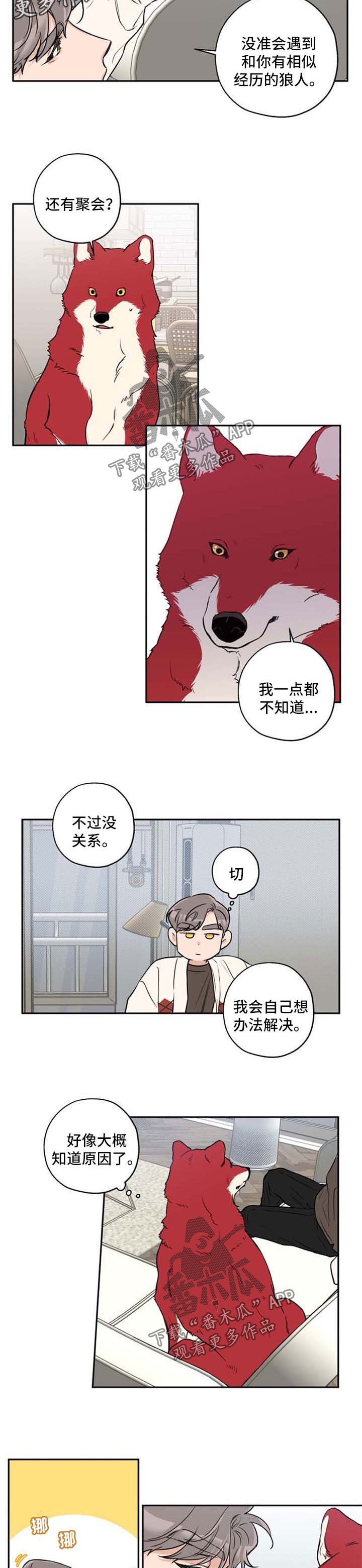 赤狼英语漫画,第33章：不想分开5图