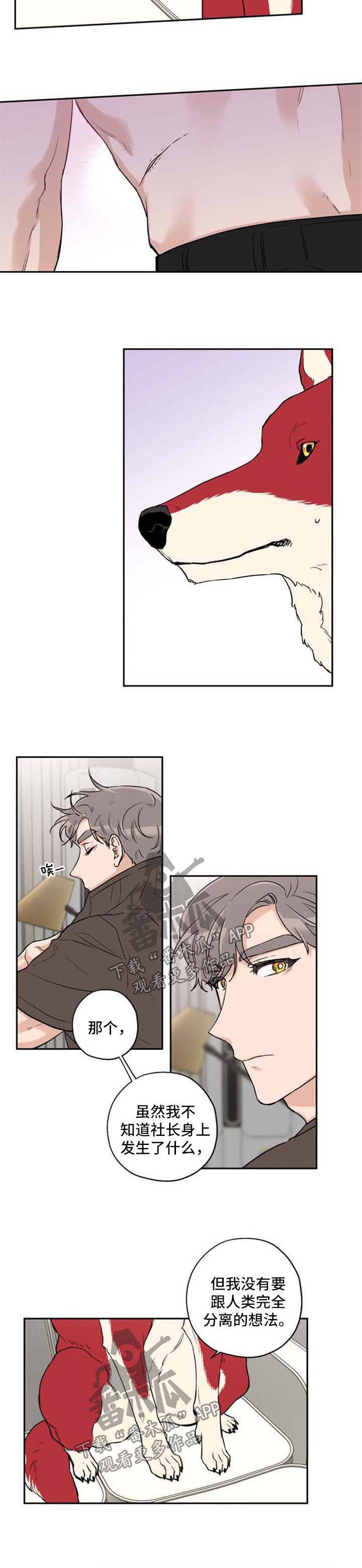 赤狼英语漫画,第33章：不想分开3图