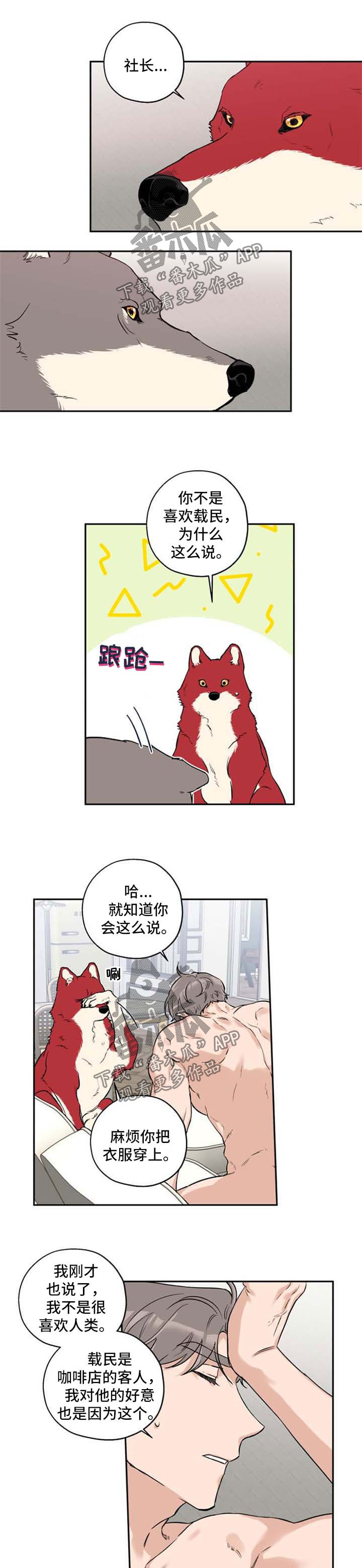 赤狼英语漫画,第33章：不想分开1图