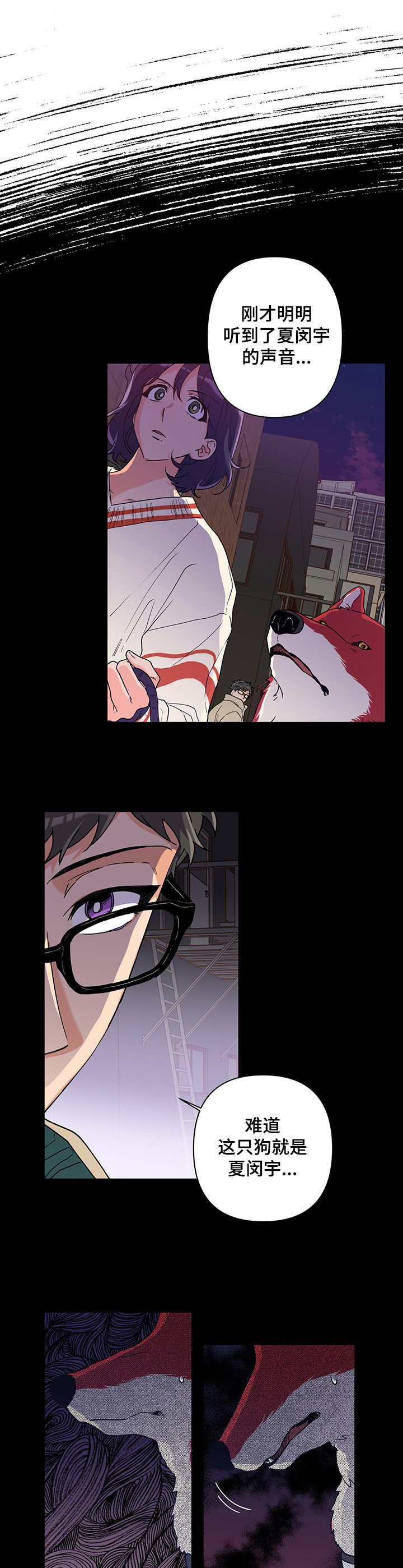 赤狼动物漫画,第3章：砰砰乱跳5图