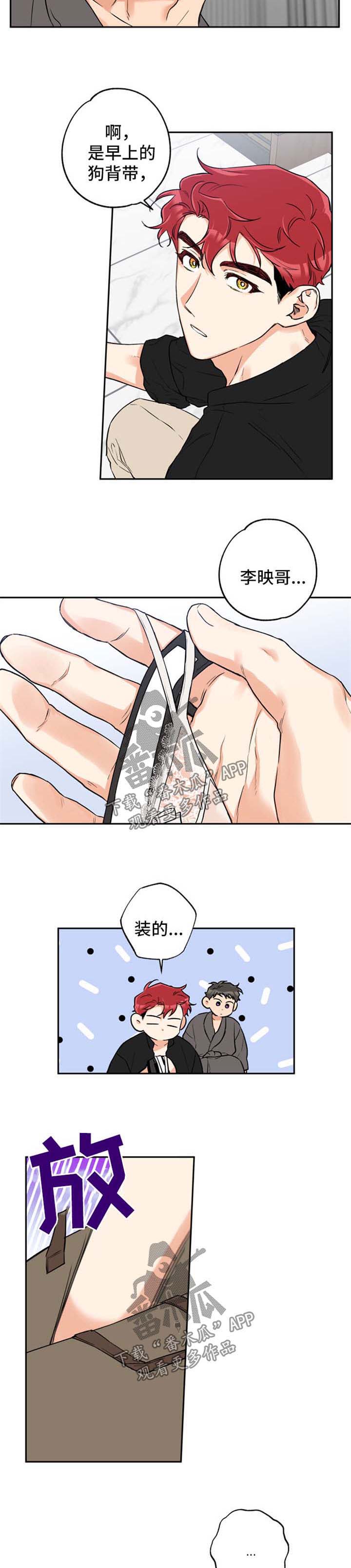 赤狼什么意思漫画,第35章：惊喜2图
