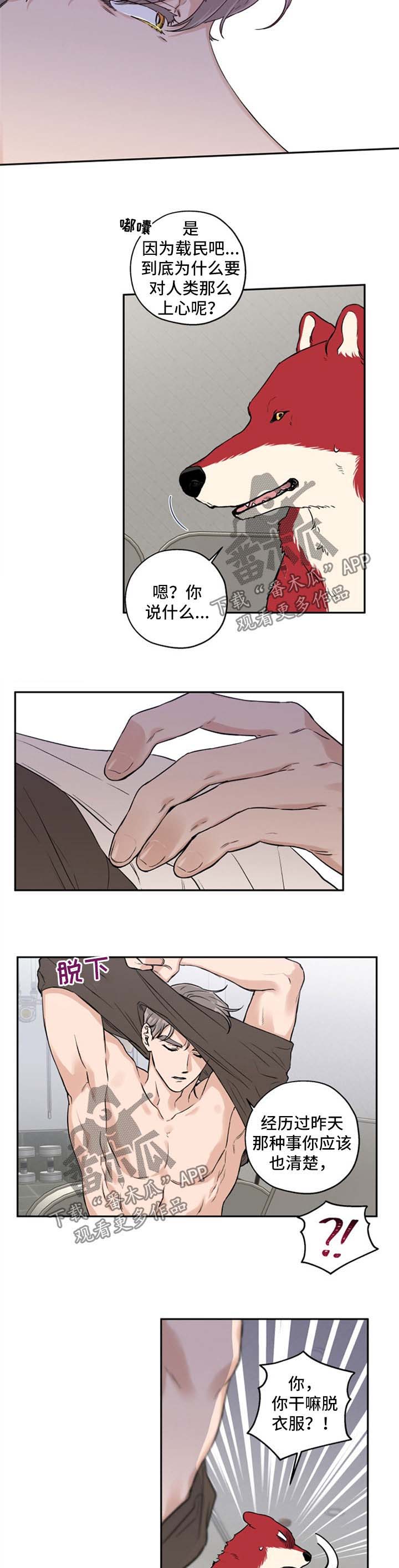 赤狼在哪漫画,第32章：不如我们俩试试5图