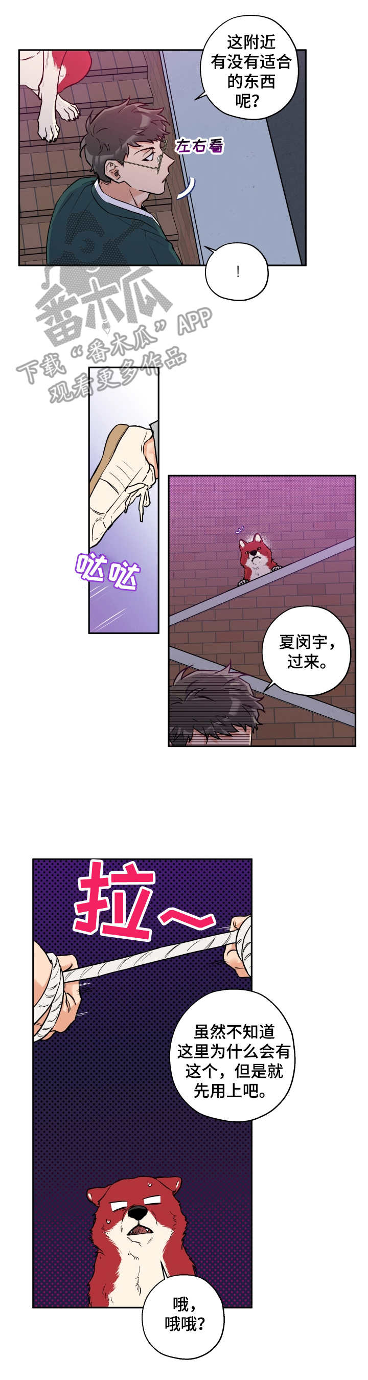 赤狼在哪漫画,第28章：打掩护4图
