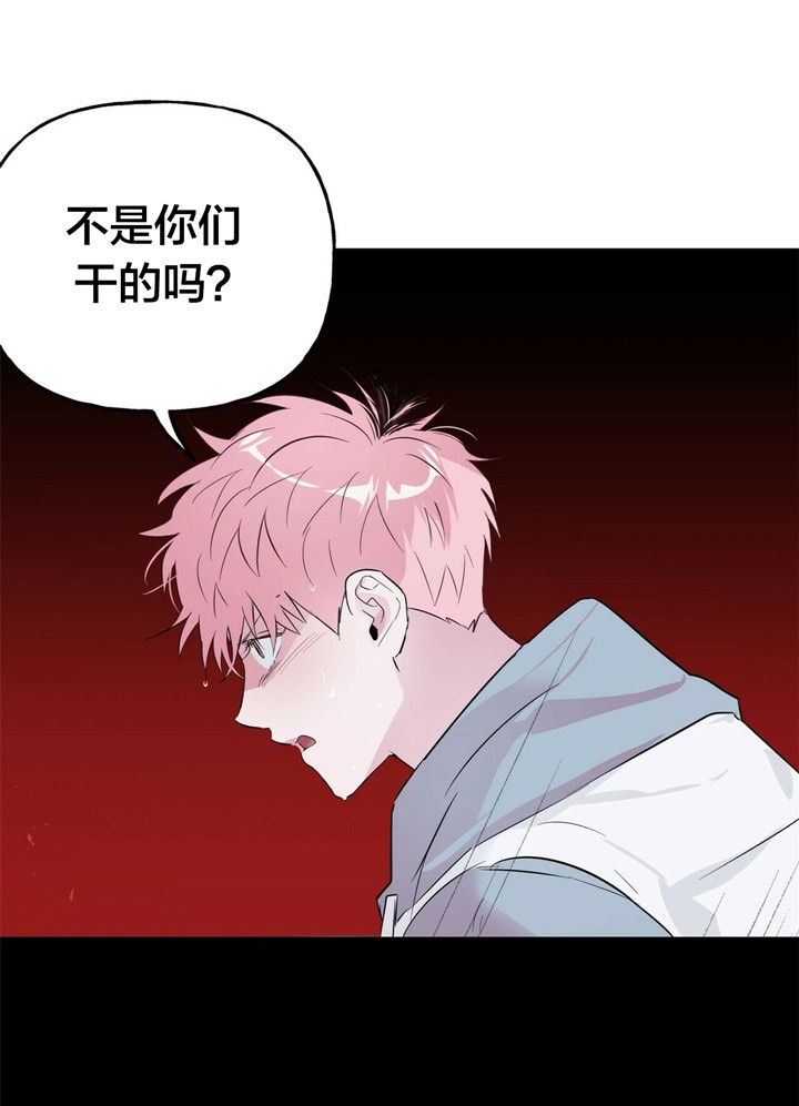 疯子与猫歌曲下载漫画,第52话2图