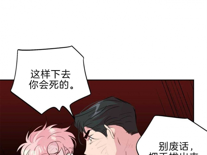 疯子和疯子漫画观看漫画,第116话4图