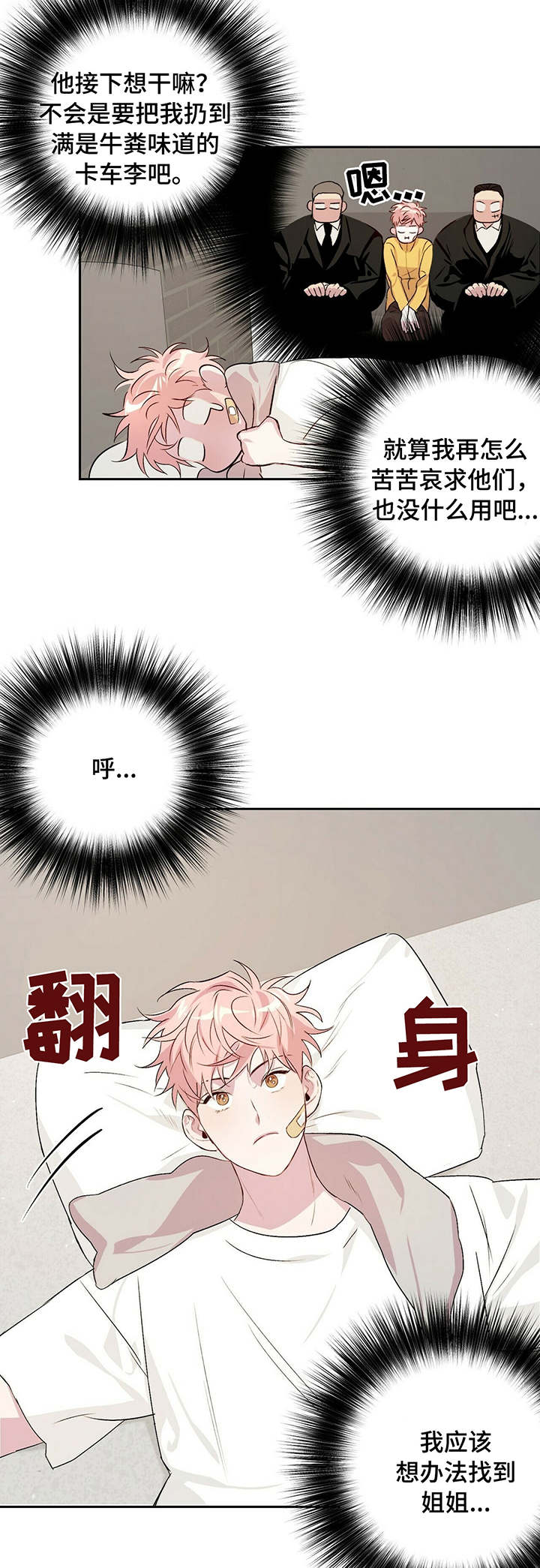 疯子与猫乐队音乐风格漫画,第29话4图