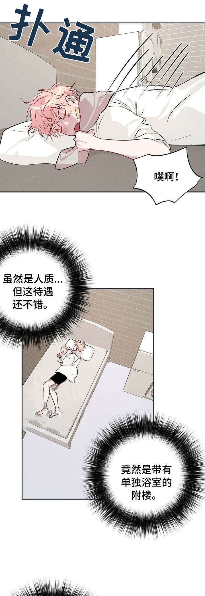 疯子与猫乐队音乐风格漫画,第29话3图