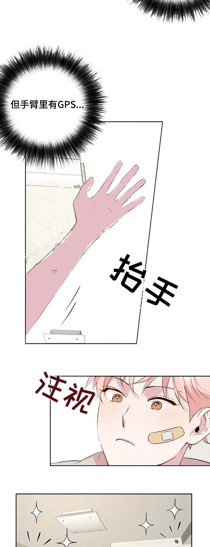 疯子与猫乐队音乐风格漫画,第29话5图