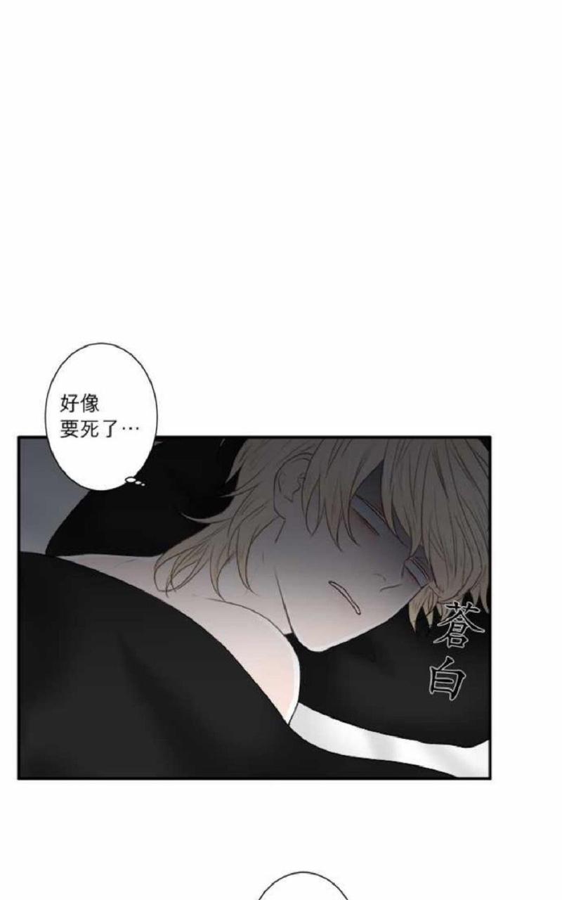 轮盘棋牌的721.5版本游戏大厅唯一官方网站是啥.cc漫画,第21-25话1图