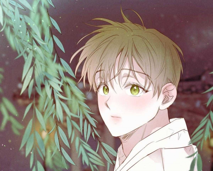 柳树浪漫史未删减漫画,第101话5图