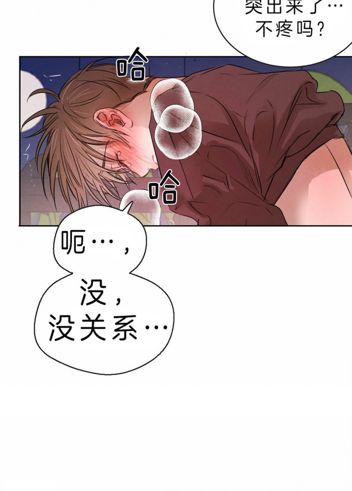柳树皮发酵方法漫画,第56话3图